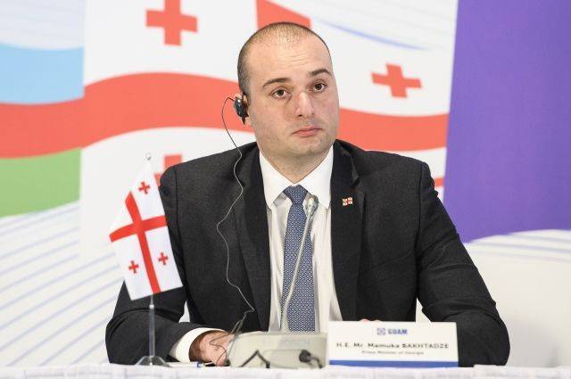 Премьер Грузии осудил выступление российского депутата на заседании МАП