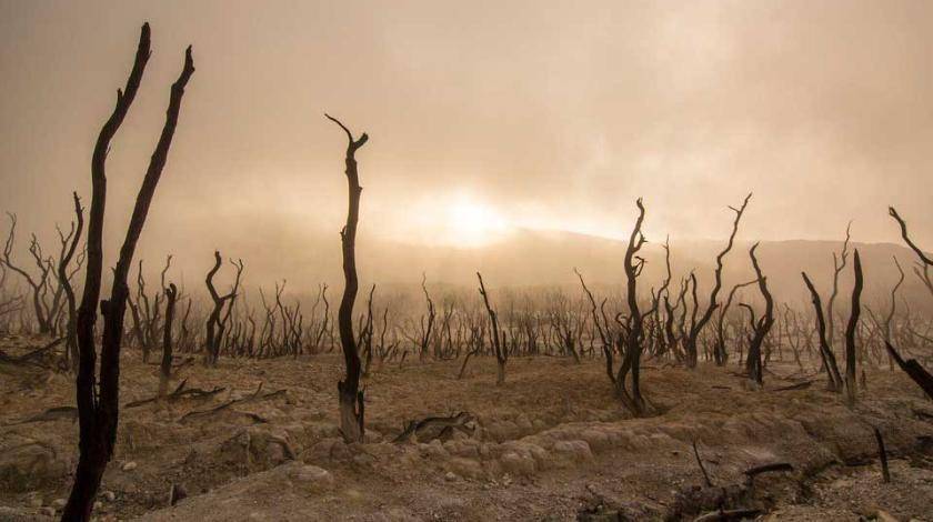 Засуха доведет Крым до страшной эпидемии