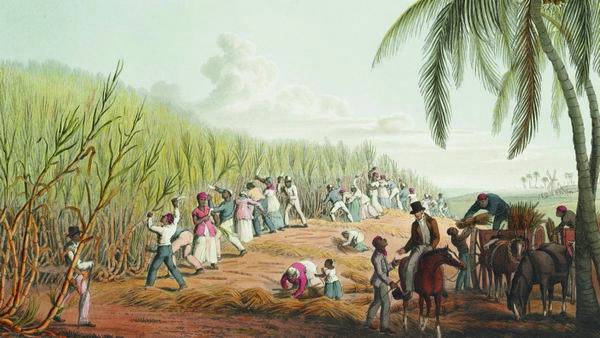 Как на Карибах рабовладельцы контролировали рабов