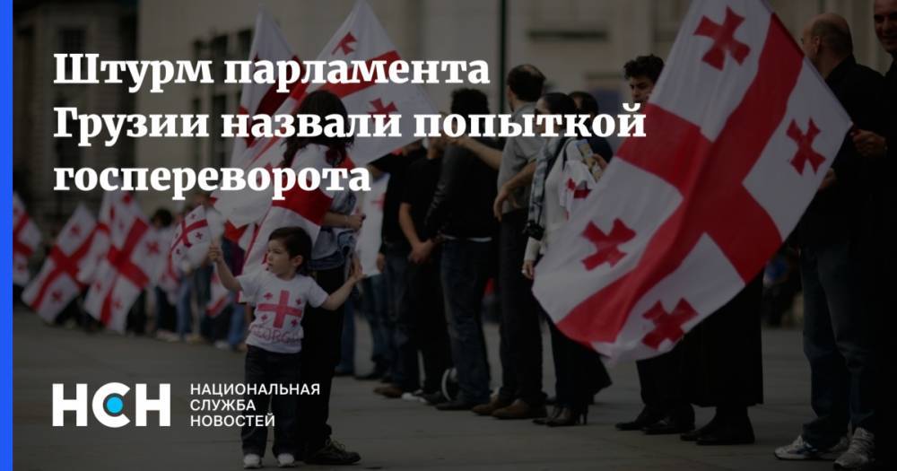 Штурм парламента Грузии назвали попыткой госпереворота