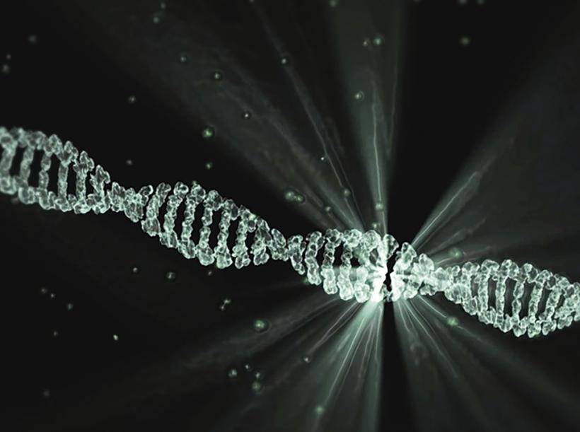 Найден геном неандертальца в ДНК человека