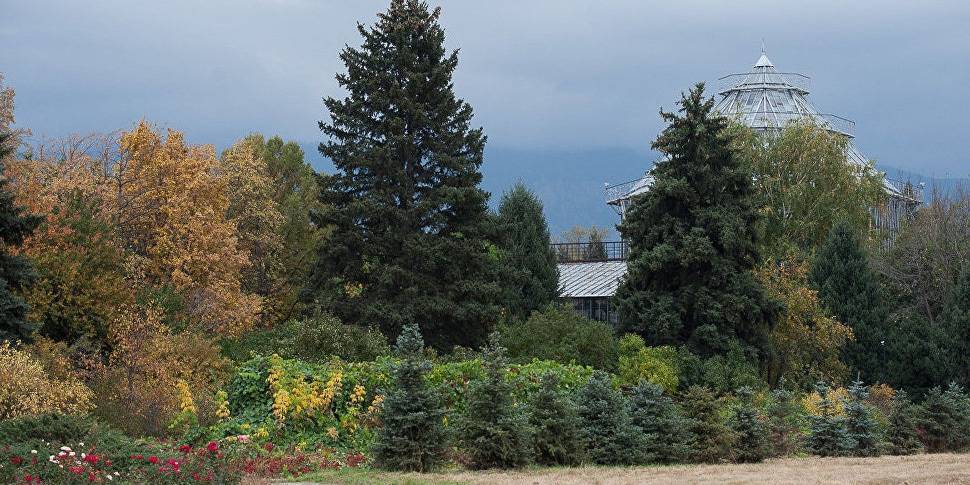 Ботанический сад Алматы закроют до ноября