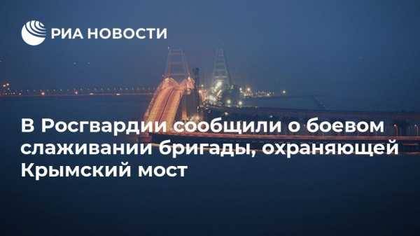 В Росгвардии сообщили о боевом слаживании бригады, охраняющей Крымский мост