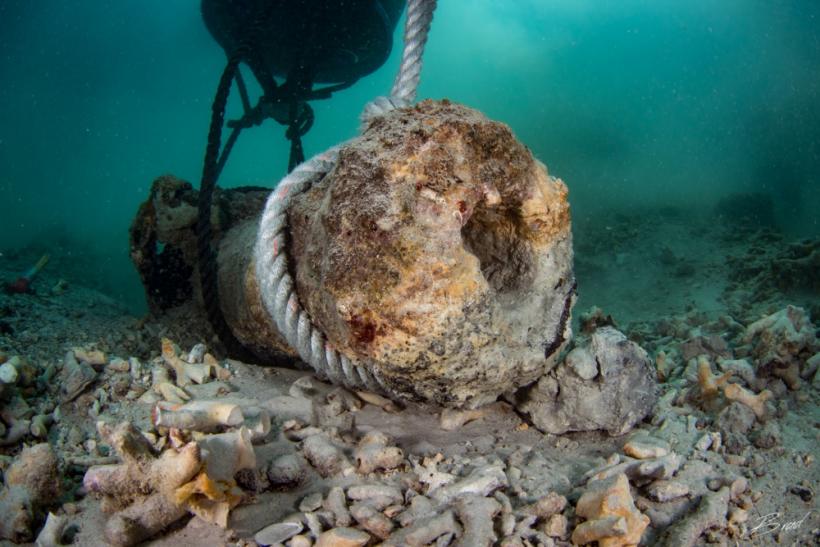 Греческие археологи обнаружили на дне моря артефакты времен битвы при Саламине