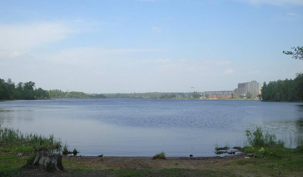 Большое Суздальское озеро освободили от незаконного ограждения