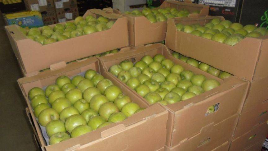В Кирове уничтожили 21 коробку яблок из Польши