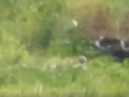 Украинские бойцы отправили вражеского снайпера прямиком в преисподнюю, видео