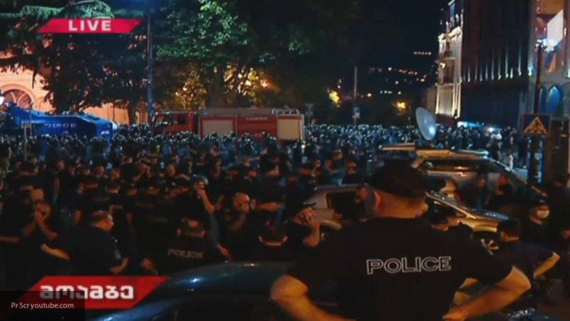 Жириновский допустил организацию протестов в Тбилиси "дирижерами" за рубежом