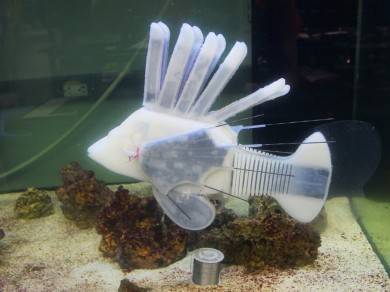 Инженеры создали мягкую роботизированную рыбу с электрокровью