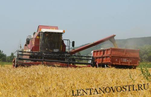 Российские зерновые эксперты снижают перспективы экспорта пшеницы