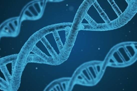 Законопроект о геноме планируют внести в Государственную Думу до конца июня