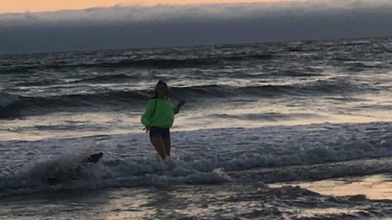 В Калифорнии 13-летнюю девочку укусил морской лев. У животного обнаружили признаки отравления