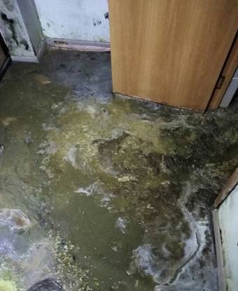 В Корткеросе квартиру дома для переселенцев затопили стоки канализации