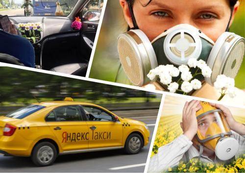 Катафалк для аллергиков: Водитель «Яндекс.Такси» устроил травлю клиентов освежителем