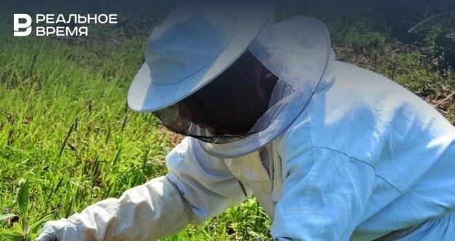 В Высокогорском районе фермеры пожаловались на массовую гибель пчел