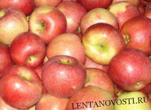 Россельхознадзор уничтожил около 65 тонн персиков и яблок из Белоруссии