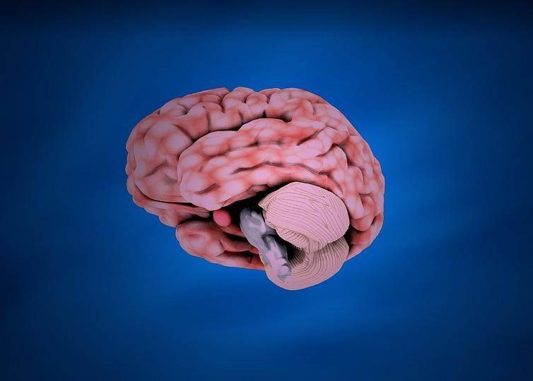 Стали известны основные симптомы опухоли головного мозга
