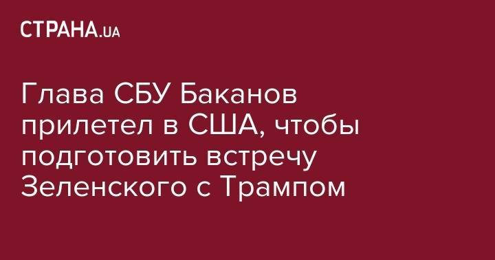 Глава СБУ Баканов прилетел в США, чтобы подготовить встречу Зеленского с Трампом