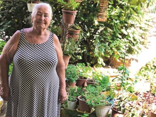 Бабушка Галина собирала бутылки на пляже и прославилась своим садом