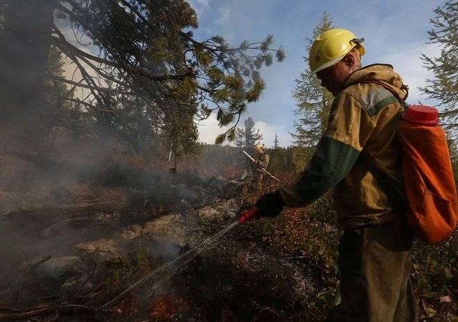 Лесной пожар у полигона Сельцы тушат парашютисты-десантники