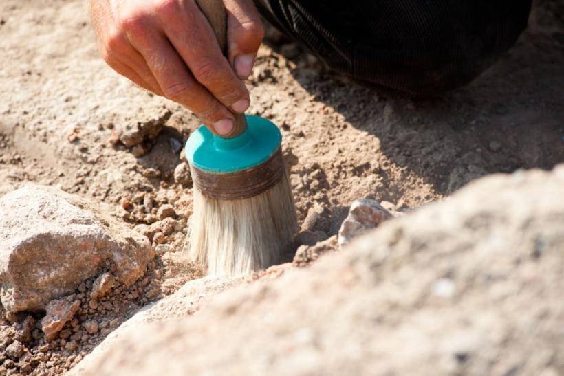 В Нортгемптонширском колодце обнаружили деревянную руку возрастом 2000 лет