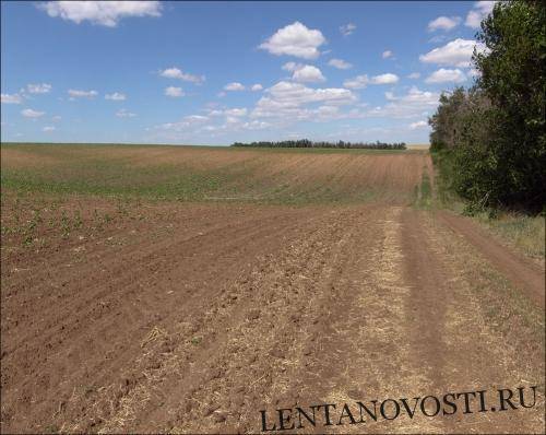 Президент Украины разрешил продажу сельхозземель