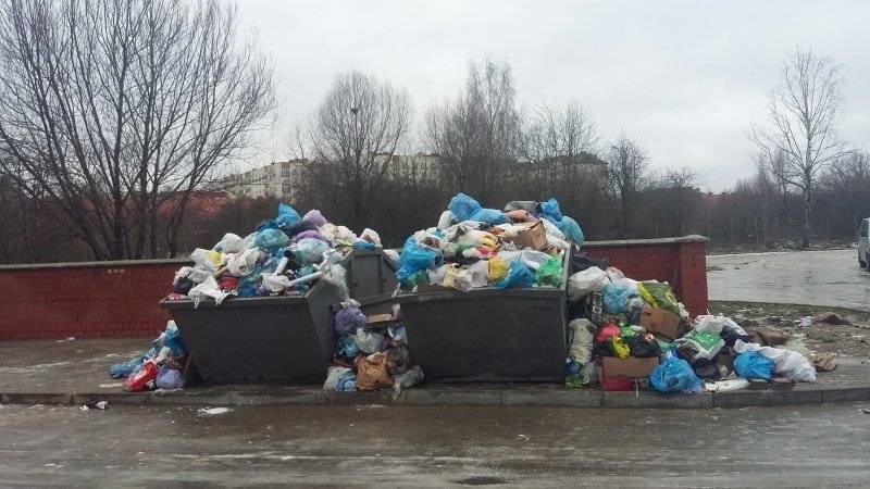 Минприроды перечислило десять регионов РФ, где «буксует» мусорная реформа