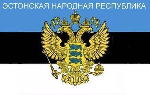 «Принаровская республика» в Эстонии. Украинский  блицкриг Путина увяз в собственной крови