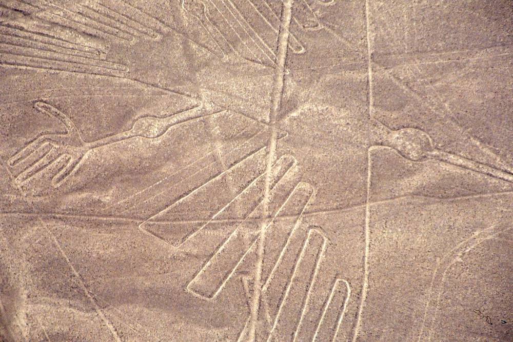 Ученым удалось раскрыть значение гигантских фигур в пустыне Наска: в это просто невозможно поверить