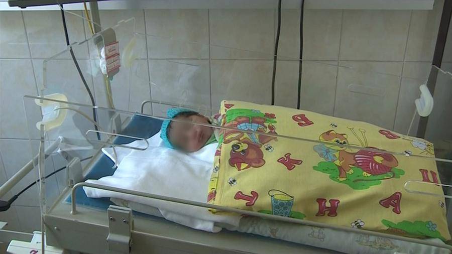 Пес спас новорожденную девочку в Санкт-Петербурге