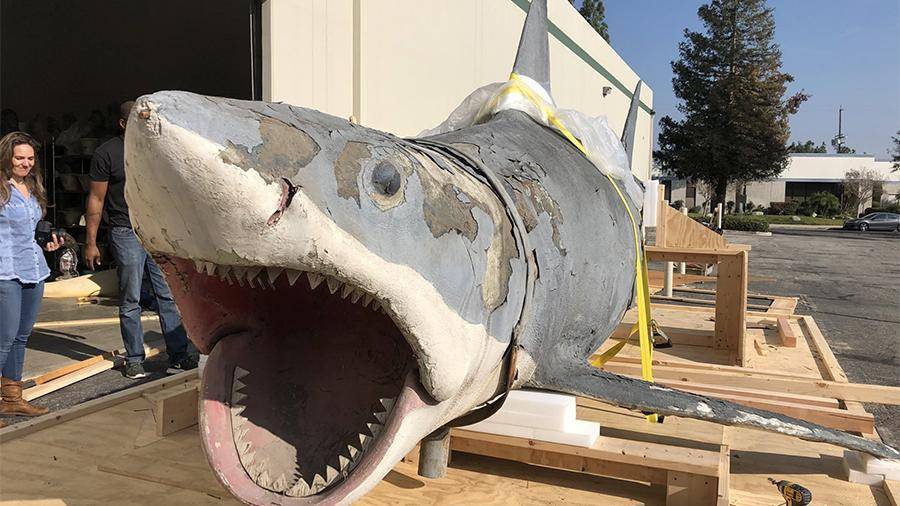 Модель акулы-убийцы из фильма «Челюсти» передали в музей