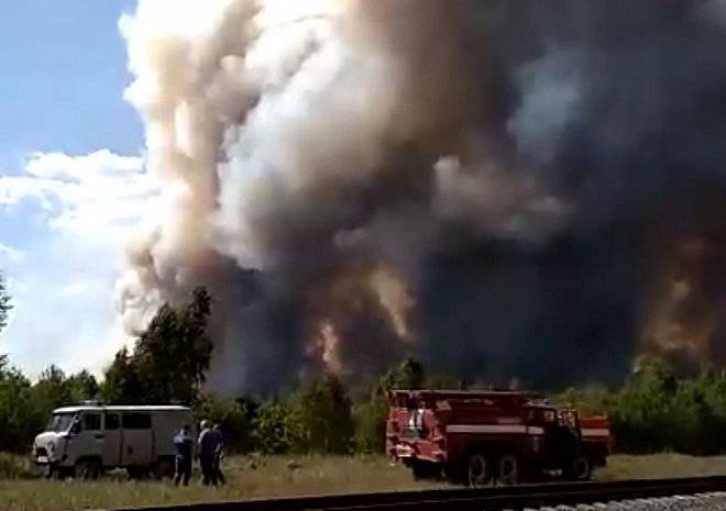 МЧС: лес в Свеженькой загорелся со стороны Мордовии