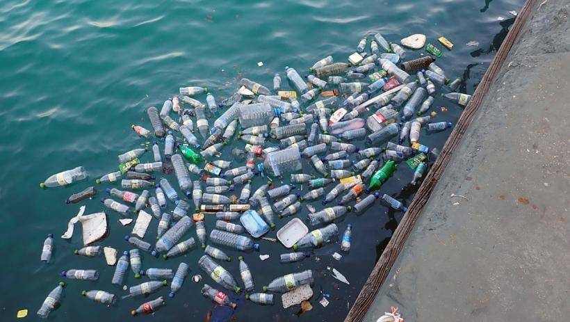 Учёные выяснили, сколько пластика поглощает человек