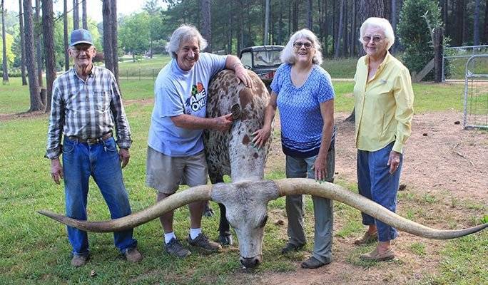 Новый рекордсмен — длина рог быка Пончо достигла 318 см!