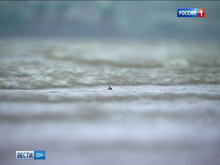 В Ростове 13-летний подросток утонул в реке Дон
