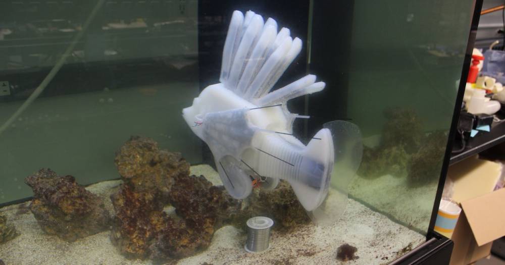 Создан робот-рыба с&nbsp;собственной кровеносной системой