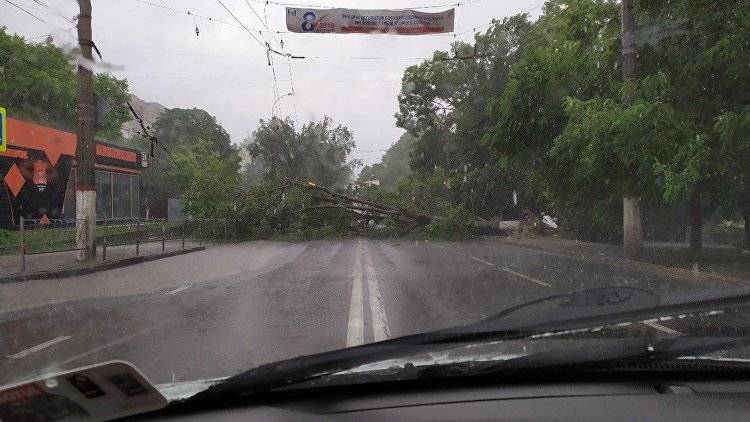 Ищите объезд: в Симферополе упавшие деревья перегородили дороги