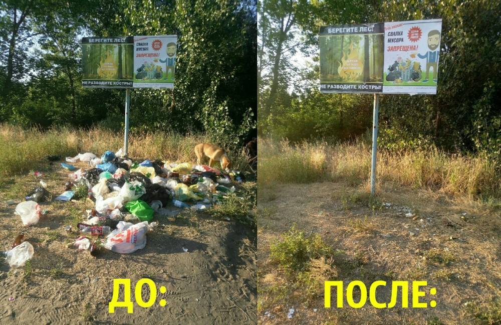 Волонтеры в Астрахани собрали мусор на городском острове
