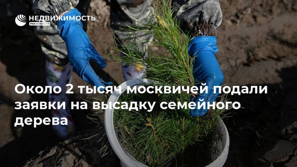 Около 2 тысяч москвичей подали заявки на высадку семейного дерева