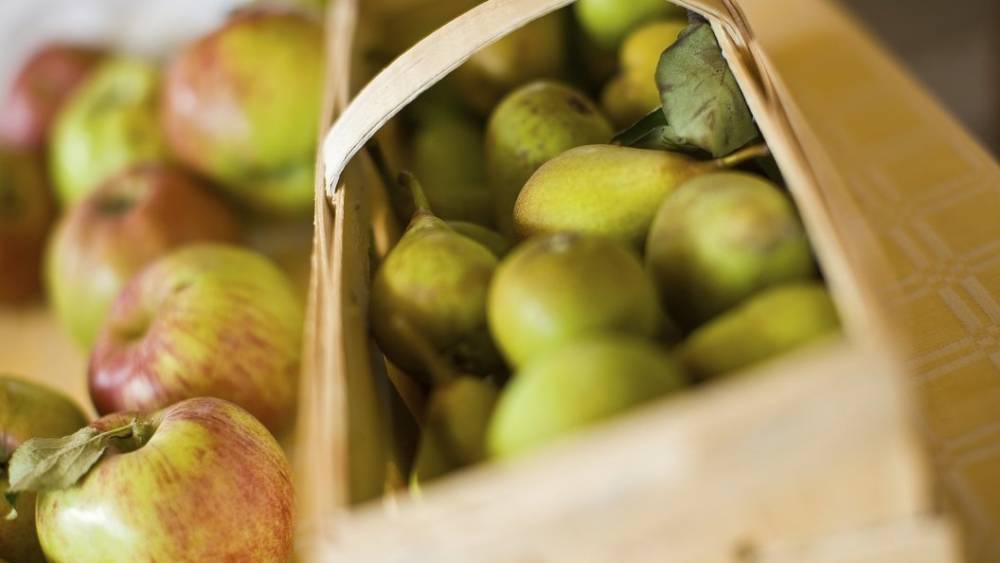 "Организм путает продукты": Врач объяснила опасность яблок и груш
