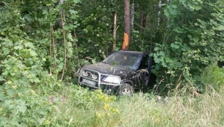 Под Мглином Honda врезалась в дерево – погиб 20-летний водитель