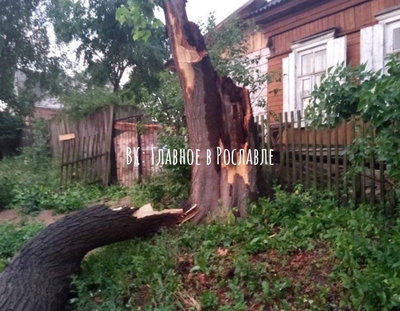 В Смоленской области молния “запилила” дерево