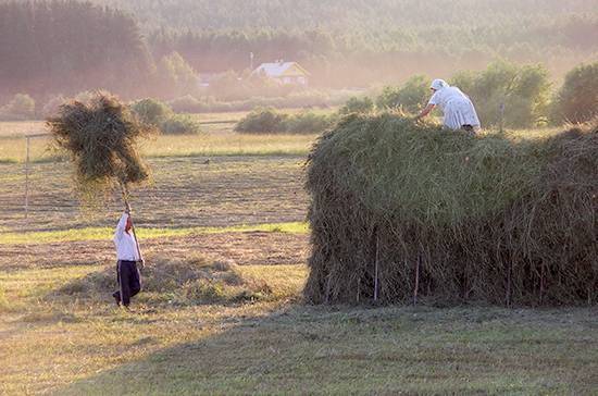 Госдума рассмотрит проект о сокращённом рабочем дне для работниц сельской местности