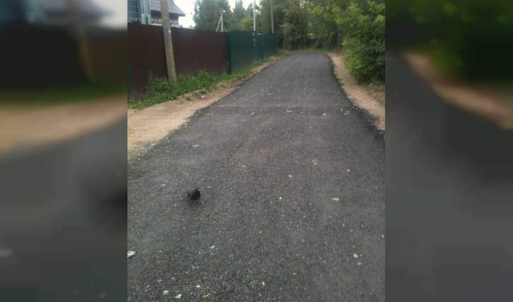 В Смоленской области горожане сами начали прокладывать дорогу