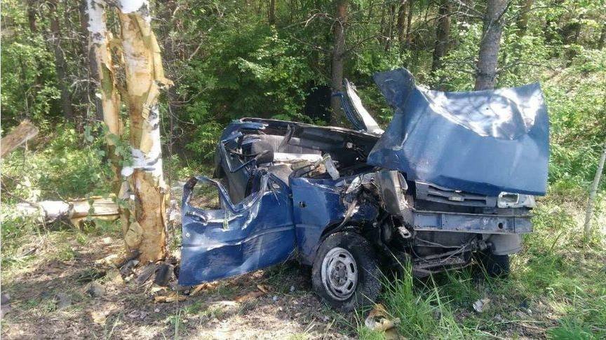 В Верхнекамском районе погиб водитель «ИЖа», вылетев в кювет и врезавшись в дерево