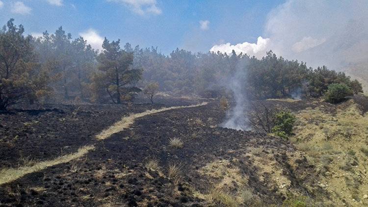 Выгорело более гектара: подробности лесного пожара в Феодосии