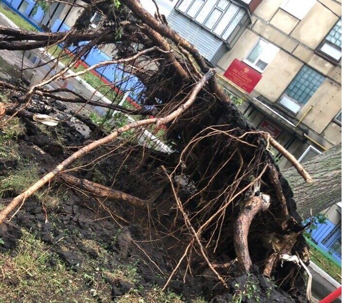 Стихия разгулялась. В Ульяновской области с корнем вырвало деревья, затопило дороги