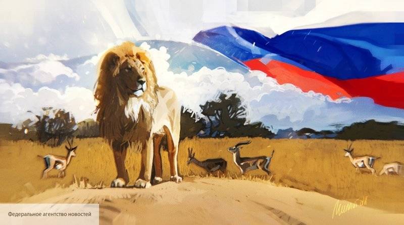 Экономическая кампания России в Африке привлекла внимание мировой общественности