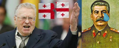 Разделить или помиловать? Жириновский предлагает устранить Грузию как страну за «предательство»