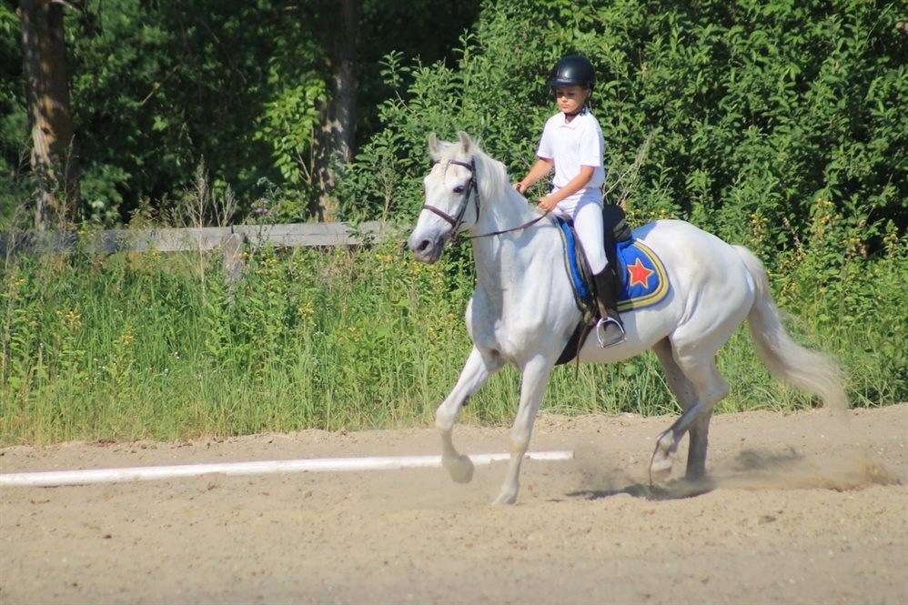 В регионе прошли соревнования среди школьников по конному спорту